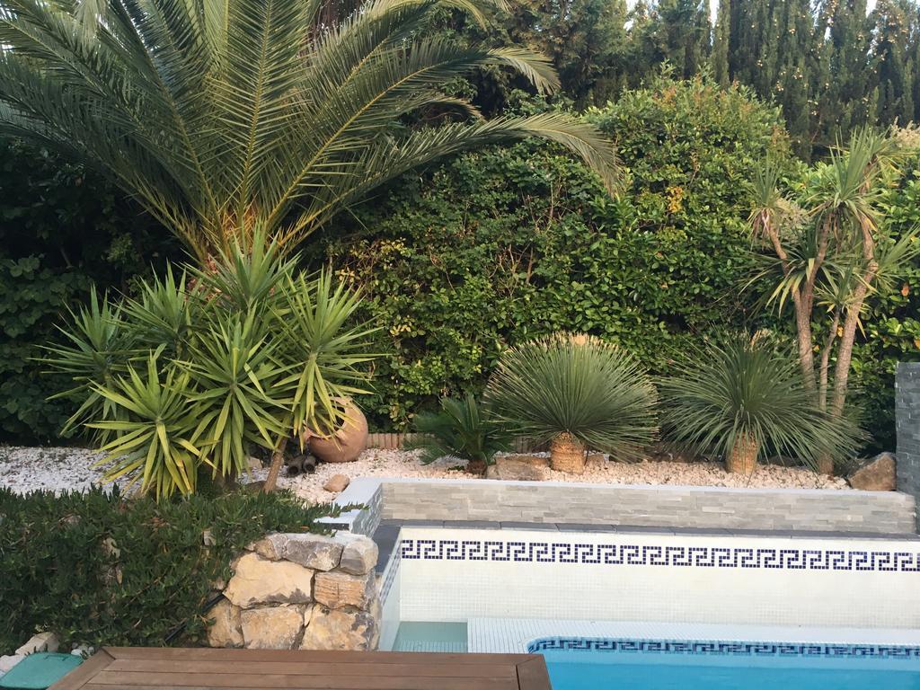La Villa Blanche Sanary-sur-Mer Dış mekan fotoğraf